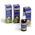 Organic Ext.ginkgo 50 ml