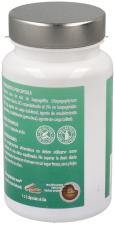 Harpagophyte microgranules 45 Capsules