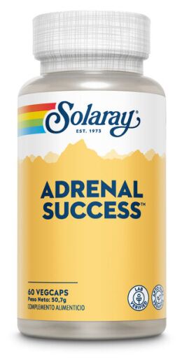 Adrenal Success 60 Capsules
