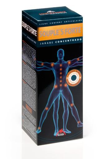 Intersa Forte Soups 500 ml