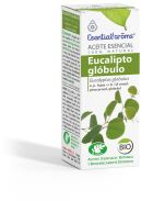 Eucalyptus Essence Globule 10 ml Bio