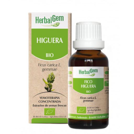 Gemmotherapy Fig Tree 15ml Bio