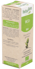 Gemmotherapy Fig Tree 15ml Bio