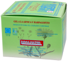 P-21 Arnica Gel 200 ml