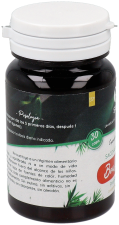 Sacc Boulardii Capsules