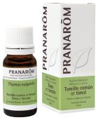 Common Thyme Essential Oil QT Thymol
