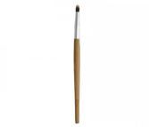 Lip brush