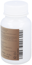 Reishi 500 mg 90 Capsules