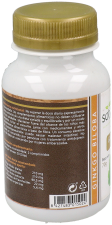 Ginkgo Biloba 100 Tablets