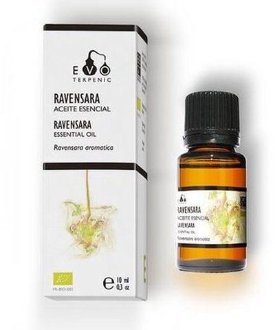 Terpenic Lab Ravensara Essential Oil