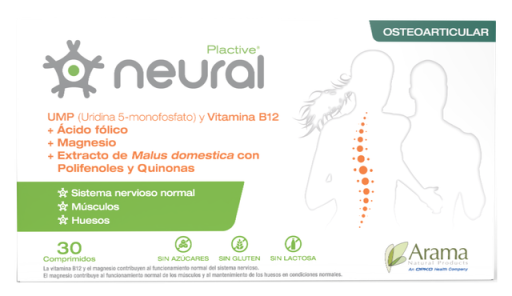 Plactive Neural