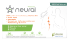 Plactive Neural