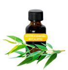 Eucalyptus Essential Oil 20 ml