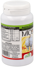 Micotherapy Glico 90 Capsules