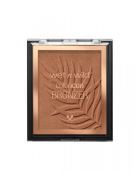 Color Icon Bronzer What Shady Beaches