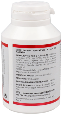 Holoram Malate Magnesium 180 Capsules