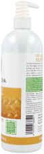 Organic Honey & Oat Shower Gel 740 ml