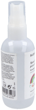 Hand Sanitizing Spray 100 ml
