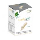 ChondroArtil with Uc-II Collagen 90 Capsules