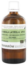 Lavender Essential Oil