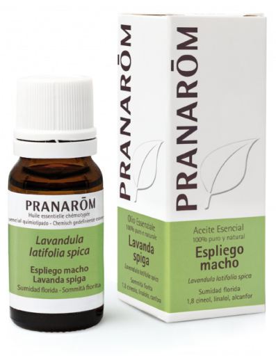 Lavender Essential Oil