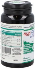 Performance Slow Aging 60 Capsules