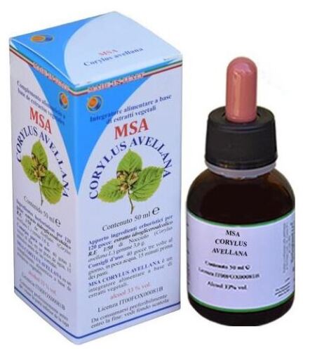 Msa Corylus Hazelnut Buds 50 ml
