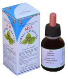 Msa Corylus Hazelnut Buds 50 ml