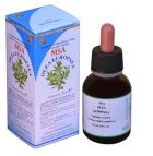 Msa Olea Europaea Young Shoots 50 ml