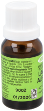 Lavender Essential Oil Eco
