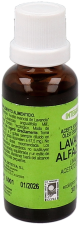 Lavender Essential Oil Eco