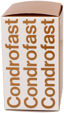 Chondrofast Capsules