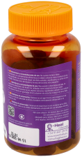 Essentialis Multi Vitamin Gummies 60 Gummies