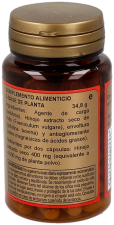 Fennel 200 mg 60 Capsules