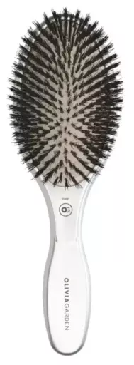 Expert Care Oval Boar Bristles Silver 1 Unit